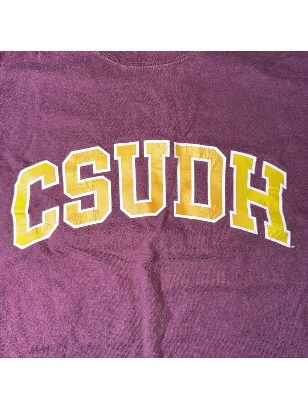 Champion California State Dominguez Hills Toros Shirt Size Large CSUDH - Picture 2 of 5